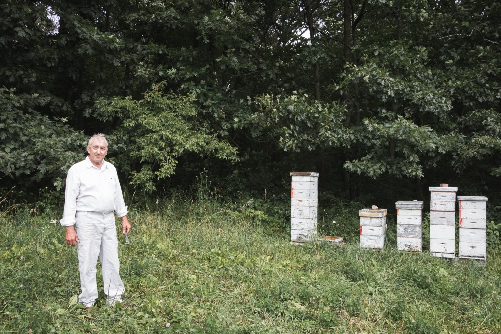 Honey Valley Beekeeping Dan O'Leary