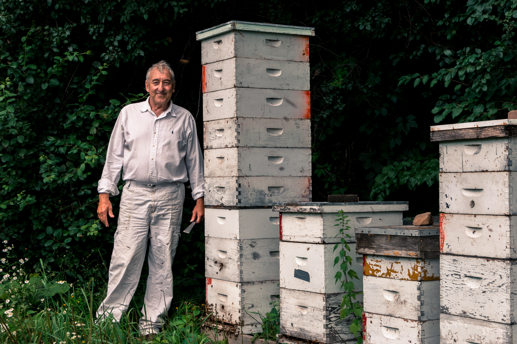 wisconsin beekeeping and honey